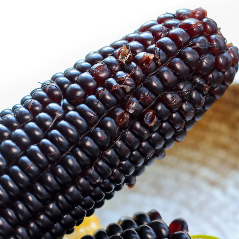 【产地直发包邮】谷苞苞—母婴黑糯玉米10只装