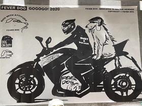 FevD/2020肥沃海报