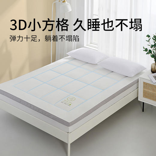 佳丽斯软垫家用冬季加厚榻榻米垫子租房专用垫褥 商品图7