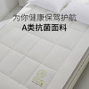 佳丽斯软垫家用冬季加厚榻榻米垫子租房专用垫褥 商品缩略图1