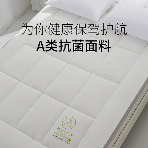 佳丽斯软垫家用冬季加厚榻榻米垫子租房专用垫褥 商品图1
