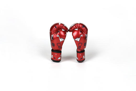 FIGHTBRO SK儿童训练拳套 商品图3