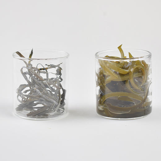 有机海带丝 营养海滋味 泡发率高达6-7倍 商品图4