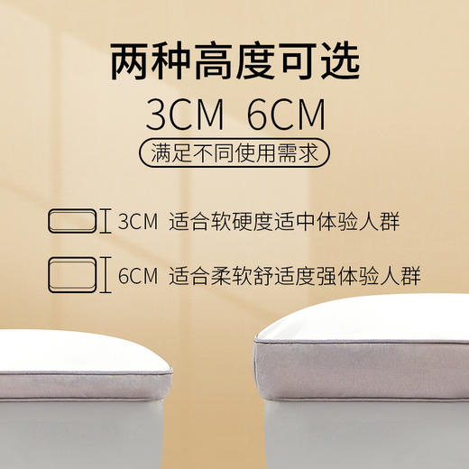 佳丽斯软垫家用冬季加厚榻榻米垫子租房专用垫褥 商品图8