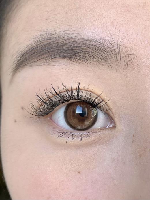 【日抛】琥珀仔·Bangcostar丨14.2mm（日抛/一盒10片装） 商品图8