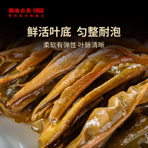 澜沧古茶2022年曼弄孔雀青饼普洱茶生茶380g/片 商品图3