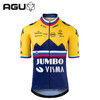 AGU JUMBO-VISMA 珍宝车队罗格利奇斯洛文尼亚国家冠军衫骑行服 商品缩略图2