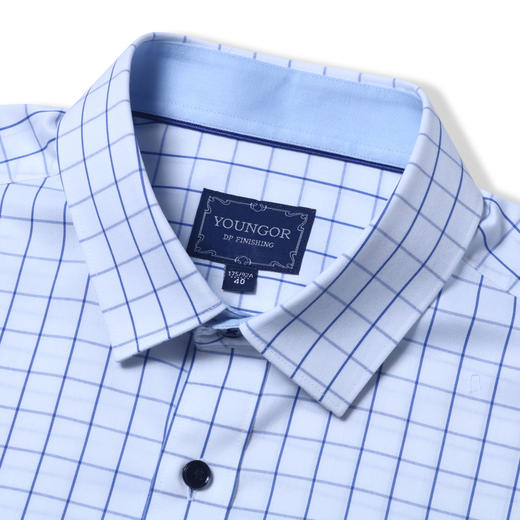 雅戈尔男士长袖衬衫春夏新品商务休闲纯棉衬衣YLXD120394BFY 商品图2