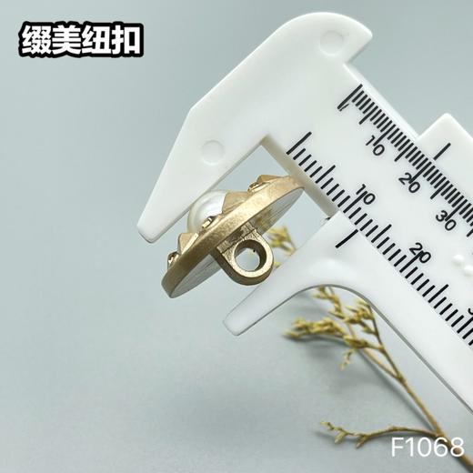 F1068(整包购买) 商品图8