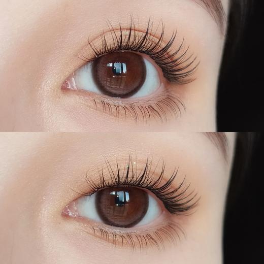 【日抛】西柚奶·Bangcostar丨14.2mm（日抛/一盒10片装） 商品图10