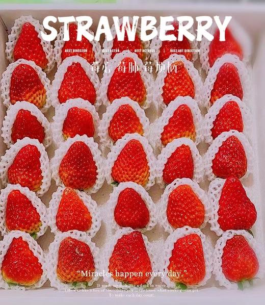 美丽市场超市-巧克力草莓（约920g） 商品图0