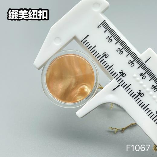 F1067(整包购买) 商品图10