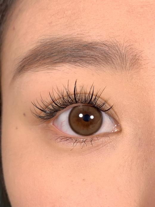 【日抛】可可球·Bangcostar丨14.2mm（日抛/一盒10片装） 商品图12