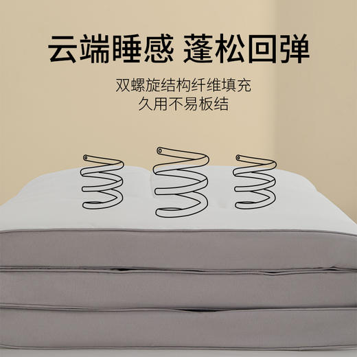 佳丽斯软垫家用冬季加厚榻榻米垫子租房专用垫褥 商品图2
