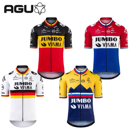 AGU JUMBO-VISMA 珍宝车队罗格利奇斯洛文尼亚国家冠军衫骑行服 商品图0