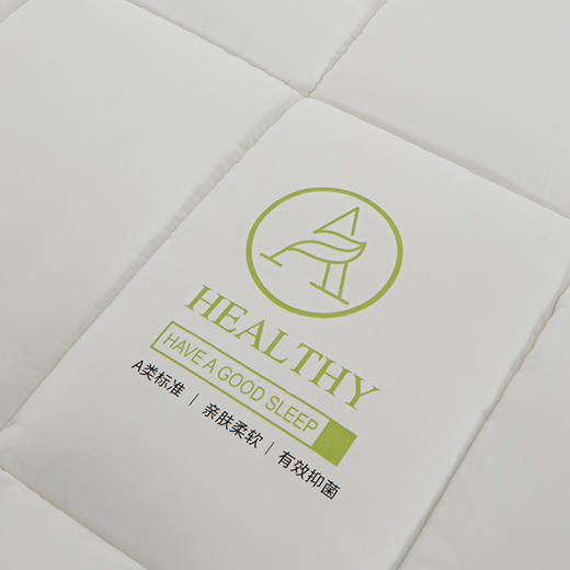 佳丽斯软垫家用冬季加厚榻榻米垫子租房专用垫褥 商品图5