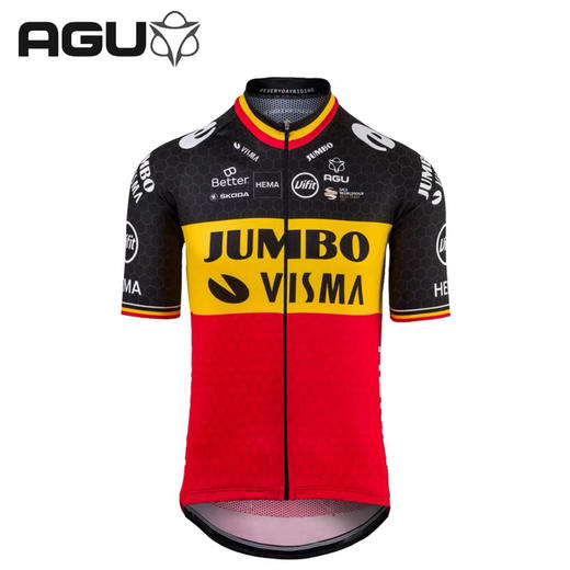 AGU JUMBO-VISMA 珍宝车队罗格利奇斯洛文尼亚国家冠军衫骑行服 商品图4