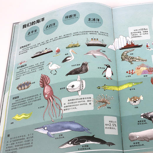 神秘岛 我们的世界-央视科教频道栏目编导常悦老师审定推荐 商品图3