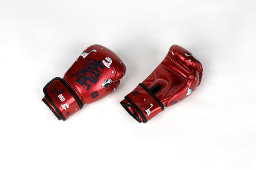 FIGHTBRO SK儿童训练拳套 商品图4