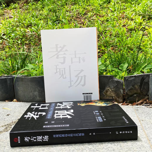 考古现场 再现消逝远去的古代场景 朱真 著 考古学 商品图2