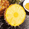 海南金钻凤梨🍍【树上自然熟】 商品缩略图3