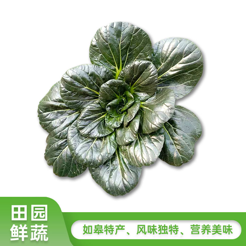 如皋黑塌菜【带泥，有虫眼】 500g