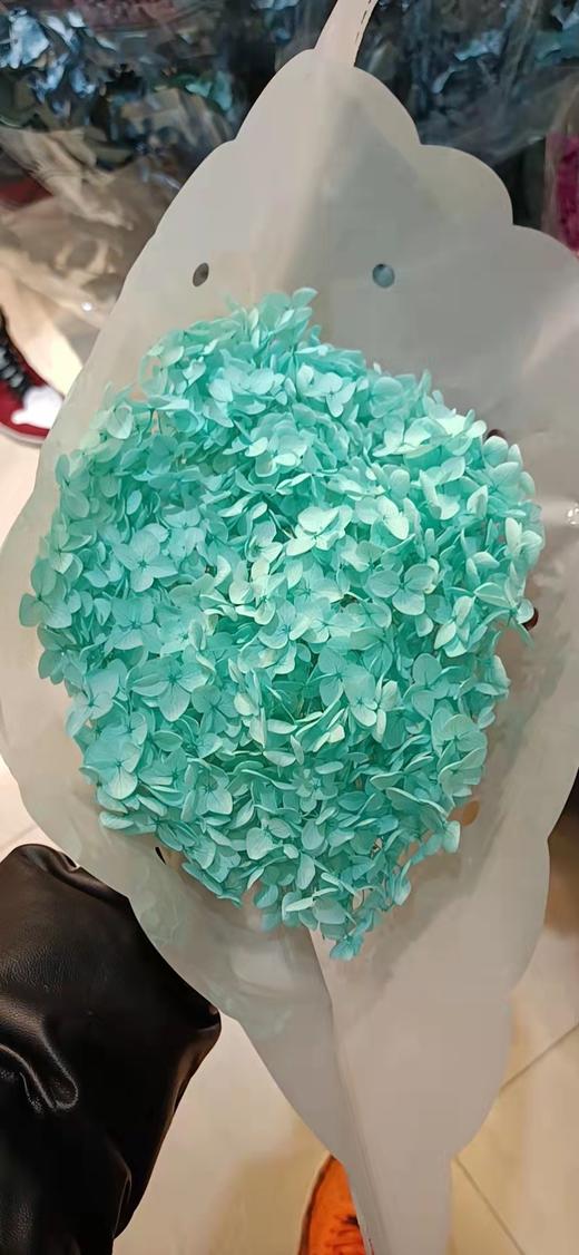 永生绣球 | 蒂芙尼蓝 商品图0