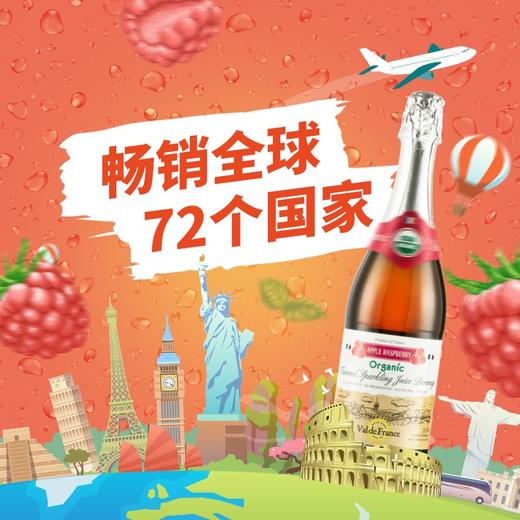 沃迪安含气树莓味苹果汁饮料750ml 商品图4