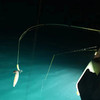 东部湾出海夜钓吹筒仔 商品缩略图4
