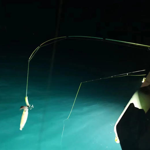 东部湾出海夜钓吹筒仔 商品图4