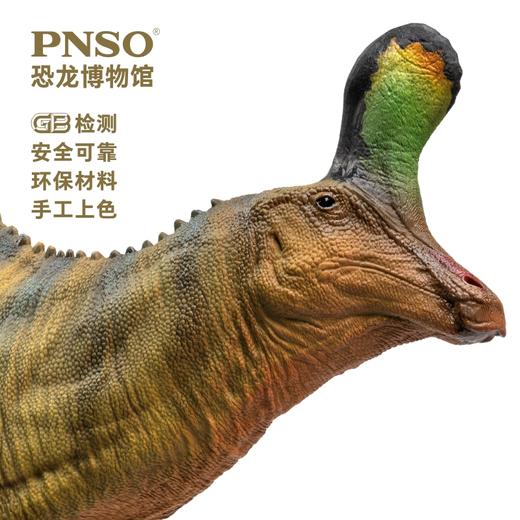PNSO恐龙博物馆青岛龙小琴1:35科学艺术模型 商品图4