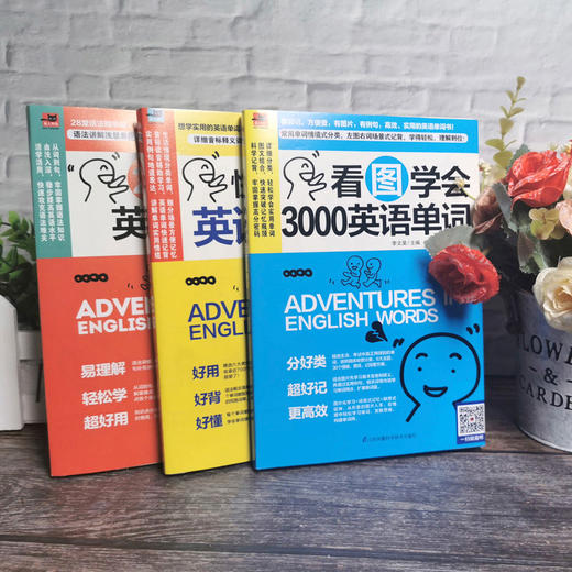 初中B02-《零基础英语语法图解》赠音频 全3册  零基础学英语畅销书籍 商品图3