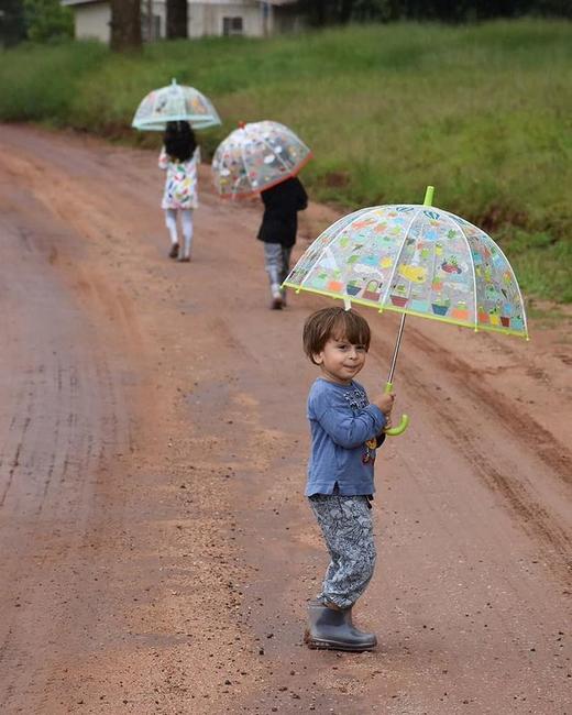 儿童/亲子成人透明伞 卡通碎花 法式风格 多款可选 法国DJECO 国内发货 商品图1