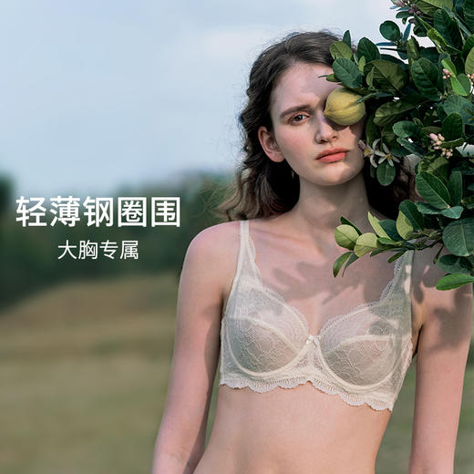 HSIA遐内衣女轻薄款春风十里全罩杯性感蕾丝撞色文胸大胸显小胸罩 商品图3