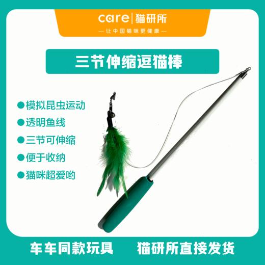 猫研所  绿色三节鱼线可伸缩逗猫棒【包邮】 商品图0