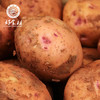 CY-云南红皮土豆5斤中大果随机发货 商品缩略图0