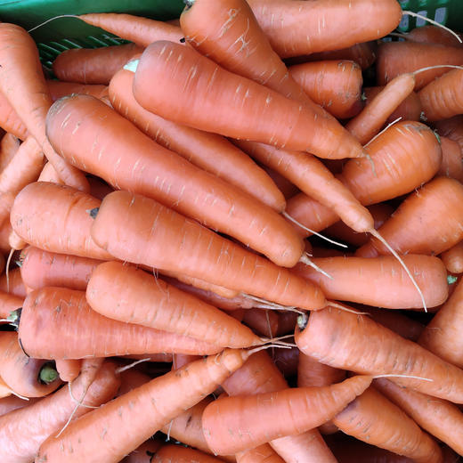 华禾绿源有机果蔬【5斤68元】【99元8斤】 商品图3