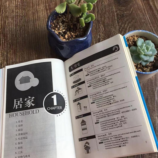 初中B02-《零基础英语语法图解》赠音频 全3册  零基础学英语畅销书籍 商品图2