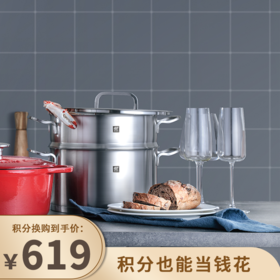 【已下架】积分换购 | 预售 | 双立人 ZwillingMoment 24CM深烧锅+24CM蒸笼套装（不支持无理由退换）[福利品]