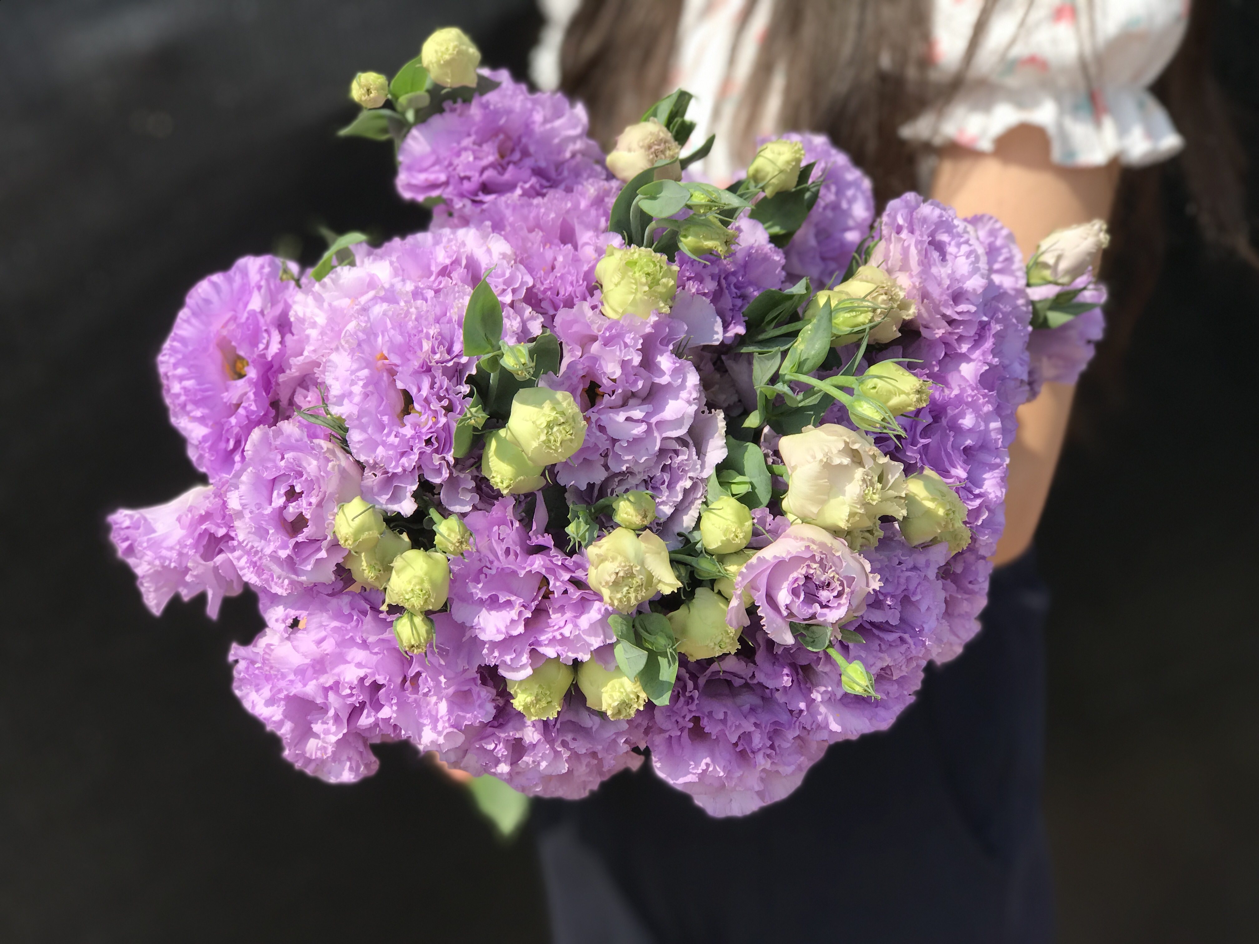 【徽上云花】（AA级）洋桔梗·波浪浅紫