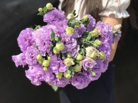 【徽上云花】（AA级）洋桔梗·波浪浅紫