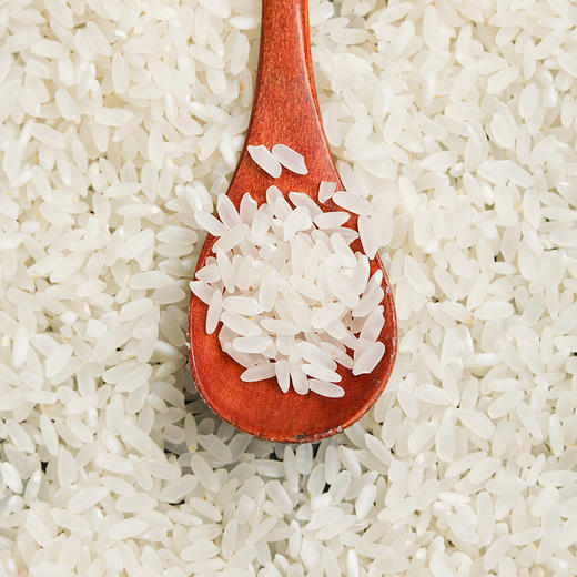 内蒙特产 犁捌苑绿色认证兴安盟长粒香大米5kg包邮 商品图2