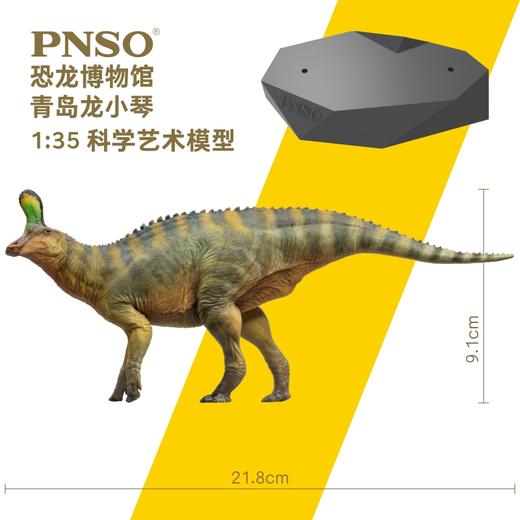 PNSO恐龙博物馆青岛龙小琴1:35科学艺术模型 商品图2