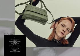 westory2022时尚百搭胎牛皮女式包包W30AA51481