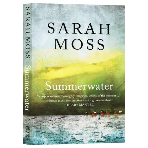 夏之水 英文原版 Summerwater 英文版进口英语书籍 Sarah Moss 商品图3