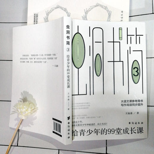 虫洞书简3 给青少年的99堂成长课 王溢嘉 著 心理学 商品图2