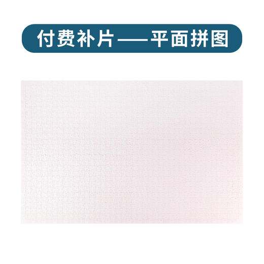 付费拼片（平面拼图8000片规格） 商品图0