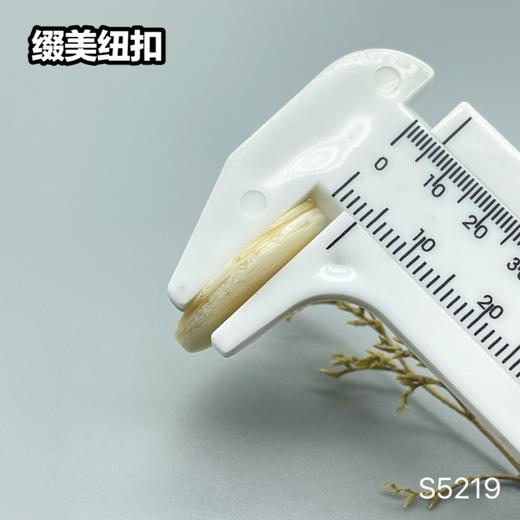 S5219(整包购买) 商品图8