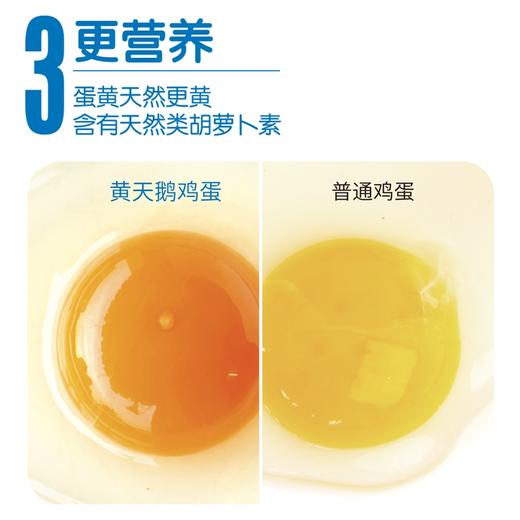 孩子更爱吃·黄天鹅鲜鸡蛋 引进38年日本可生食标准 商品图4