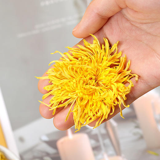 【团购】福东海 金丝皇菊15克（30朵）大朵优选泡水泡茶喝的花茶胎菊 商品图1